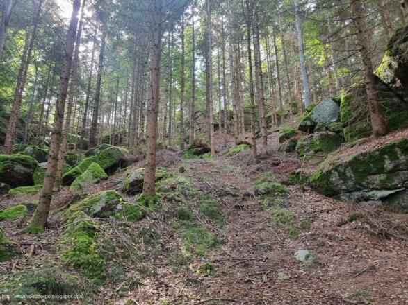 Wir nehmen die Abkürzung durchs Steinlabyrinth