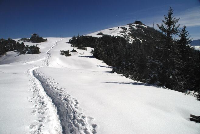 Nur noch ein paar hundert Meter zum Wankhaus