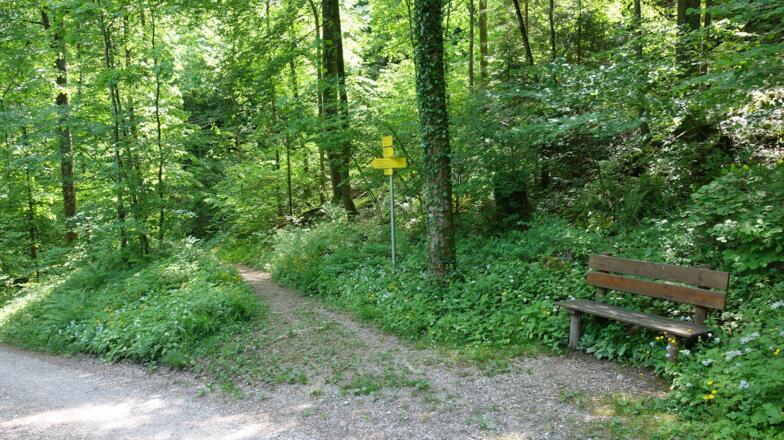 Kugelbachweg erreicht um 610m, rechts ab
