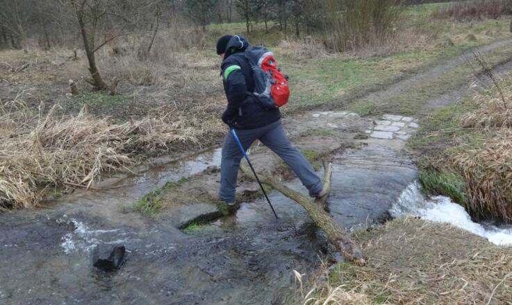"Der reißende Steinbach"