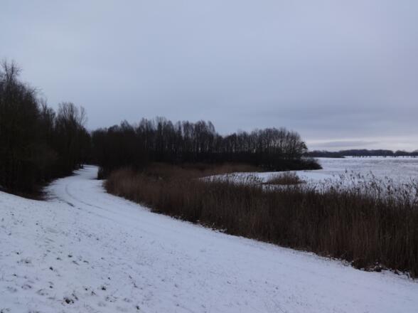 Am Donaupanoramaweg an der Donau entlang