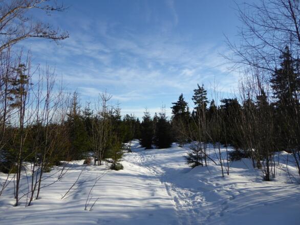 verschneiter Weg zum Gipfel