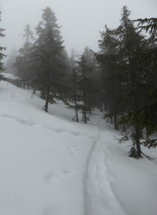 kreuz und quer hinauf auf den Gipfel