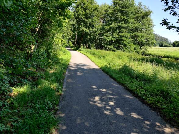 Rad-/ Fußweg durch das Vilstal