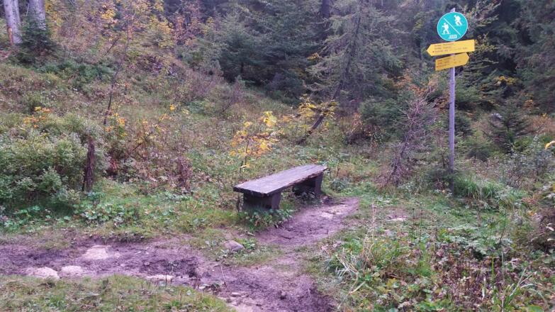 Alte Ruhebank zwischen den beiden Lichtungen auf dem Weg zum Straubinger Haus.