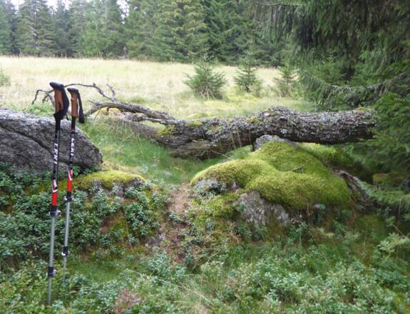 Die perfekte Bortzeitbank :-)