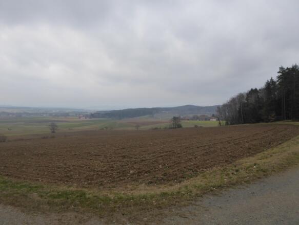 Blick auf Kleinenzenried