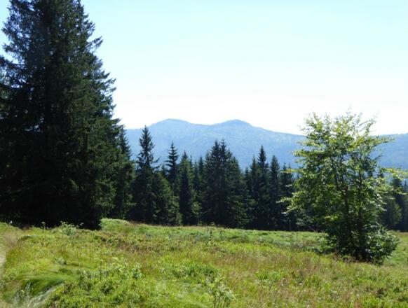 Blick auf den Rachel