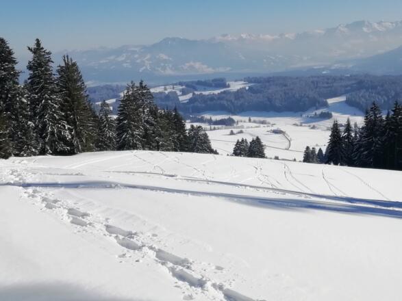 Abfahrtsmöglichkeit nach Börlas / Bei der Schmiede