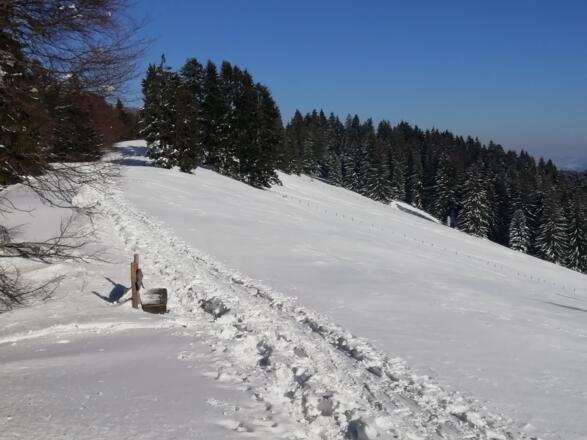 Hauchenberg