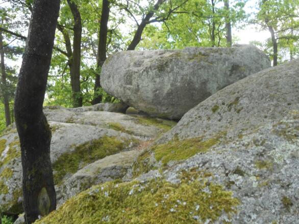 Druidenstein bei Kröblitz