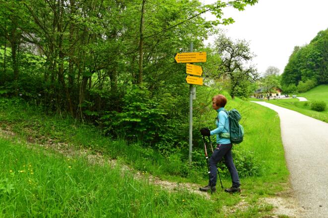 Auf dem Zellerlweg weiter in Richtung Geißwand