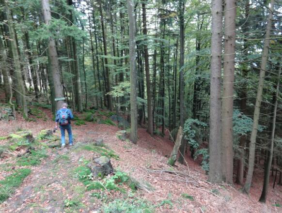 Abstieg nach Daxstein