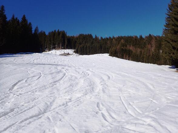 Waldschneisen
