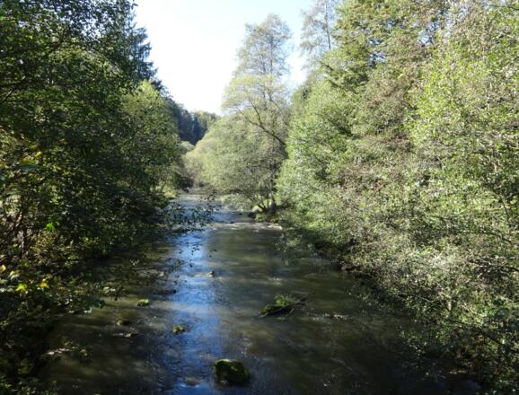 Brücke über die Schwarzach