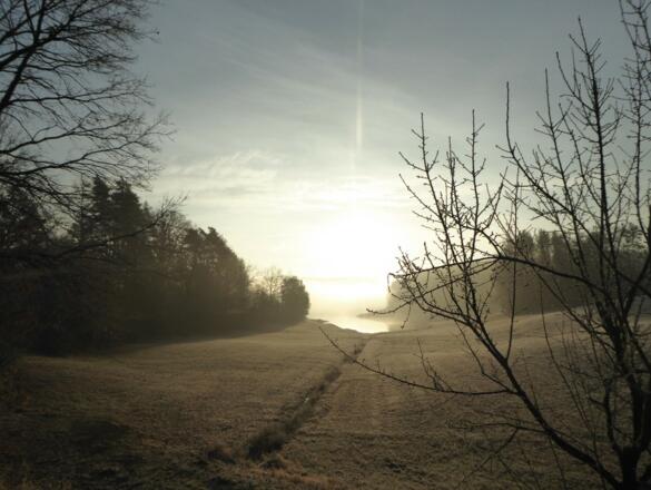 Impressionen vom Stausee