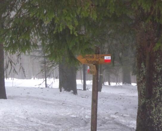 Start über den Lo5 (Lohberg5)