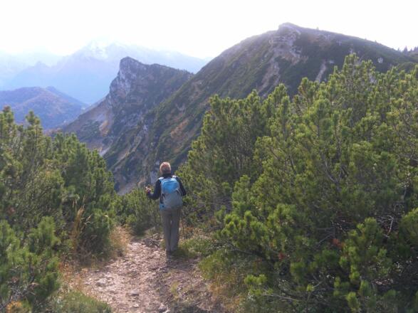 Törlkopf und Karkopf aus der Latschengasse des Dreisesselbergs