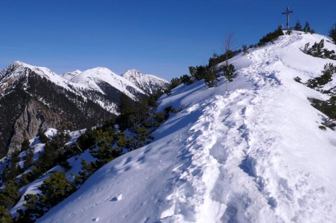 Die letzten Meter zum Vorgipfel