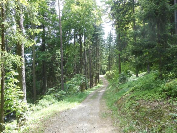 Wanderweg um den Eixendorfer Stausee