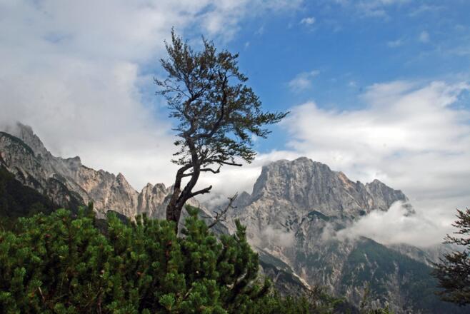Blick zum Mühlsturzhorn