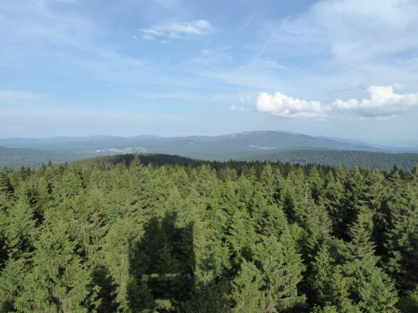 Blick vom Aussichtsturm