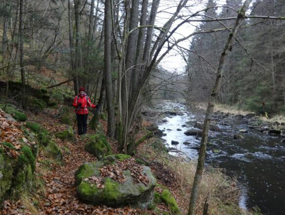 Uferpfad an der Pfreimd