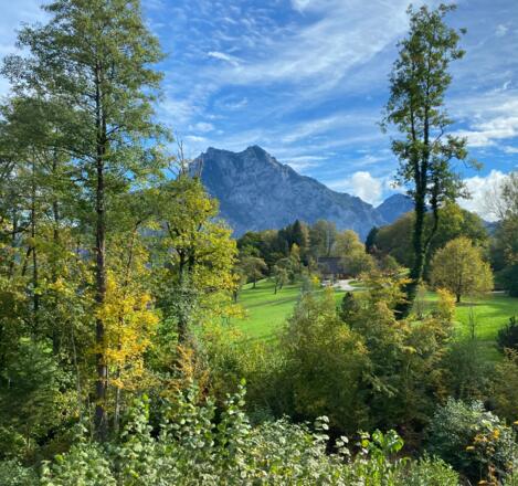 Blick zum Traunstein auf der Anreise