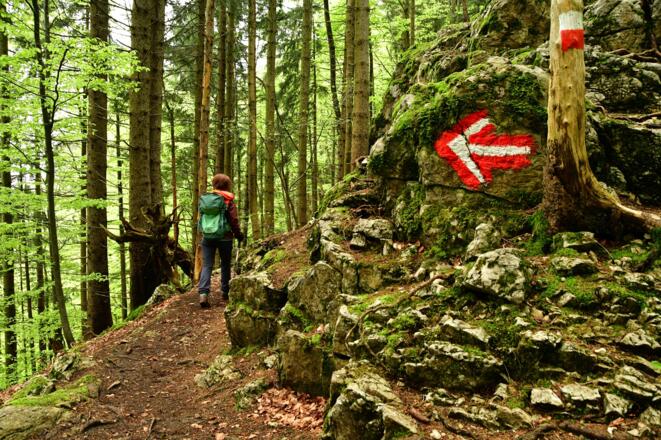Der Weg auf den Lärlkogel ist gut markiert