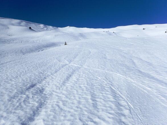 Der Neuschnee könnte etwas mehr sein ;-)