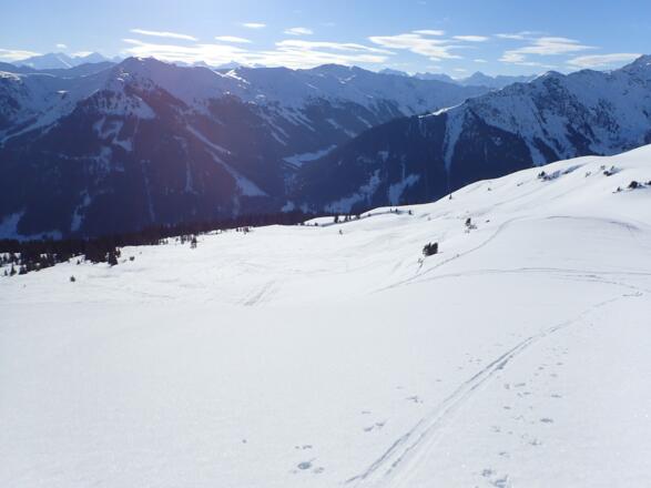 Kupierte Hänge ziehen hinauf zum Spieleckkogel