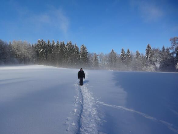 Spuren im Schnee