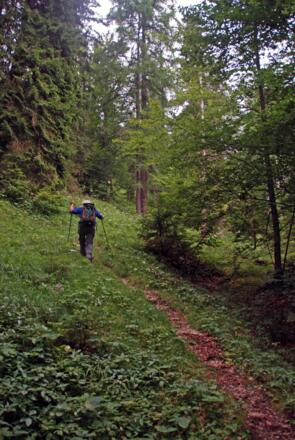 Aufstieg zum Hirschbichlkopf
