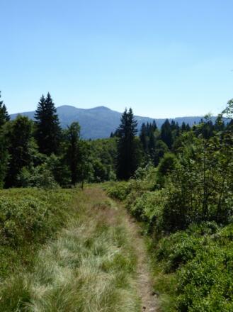 Pfad durch den Lindbergschachten