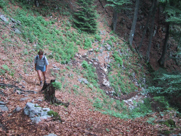 steiler Waldpfad