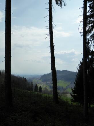 Blick nach Mühlbogen