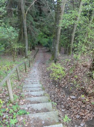 Abstieg von Pilgramsberg