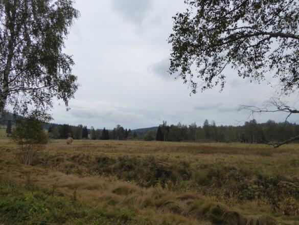 Böhmerwald
