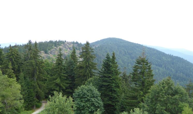 Blick auf das Steinbühler Gesenke und den Großen Riedelstein