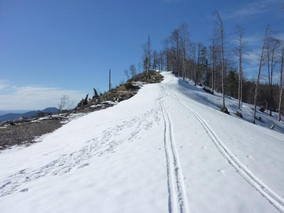 Abfahrt Gipfelrücken