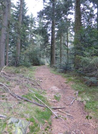 Kreuzweg kurz nach Sonnen