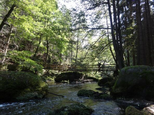 Uferweg Waldnaabtal