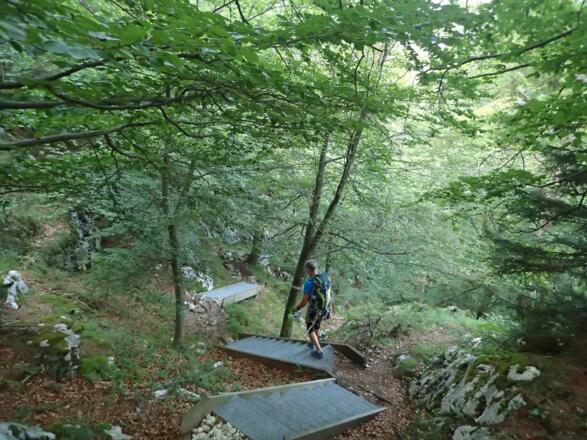 Abstieg zum Klettergarten