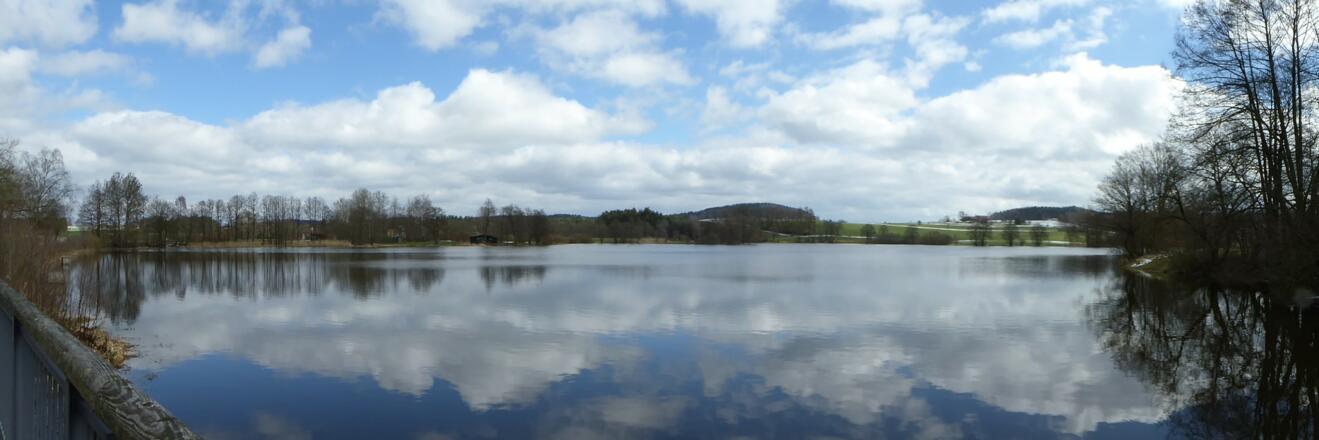 Blick auf den Neuweiher
