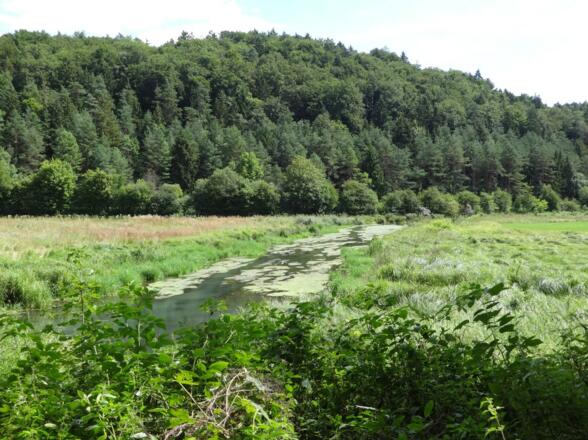 Schambachtal