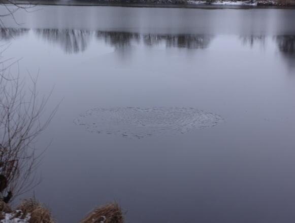 Öberauer Donauschleife - a Herzerl im Wasser