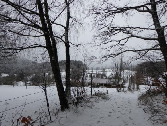 Winteridylle bei Gruselberg