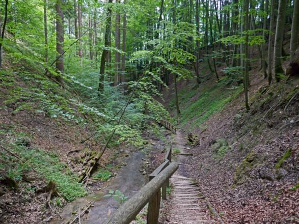 Auf dem Schluchtenweg