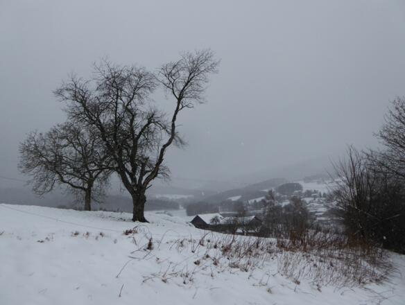 Winteridylle bei Gerading
