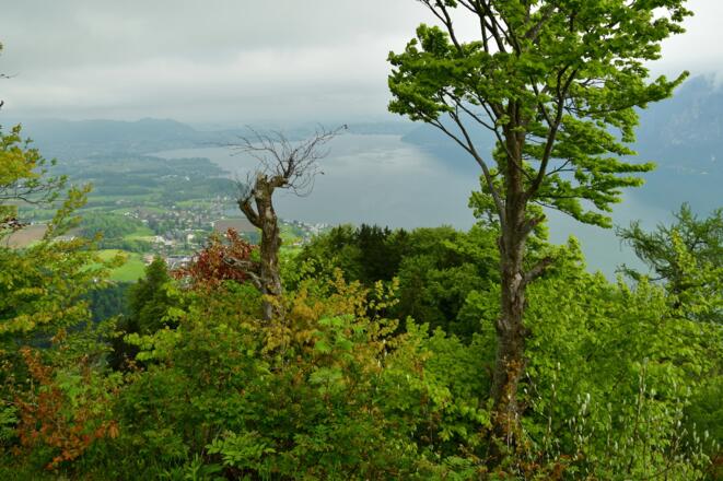 Blick zum Traunsee und Traunstein